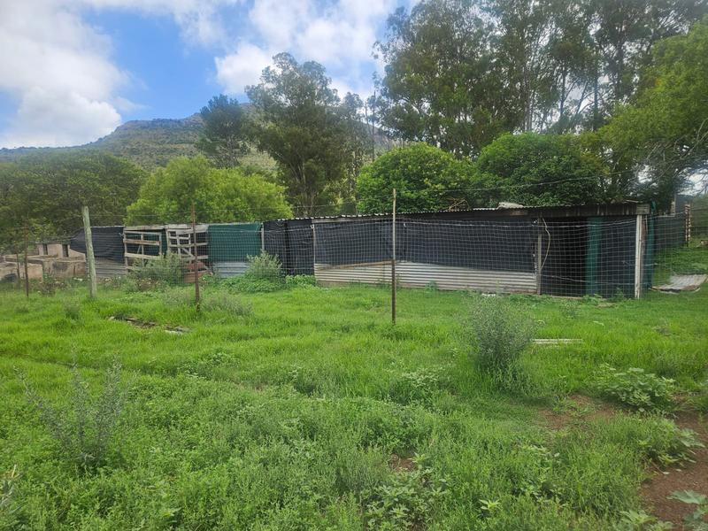 10 Bedroom Property for Sale in Queenstown Rural Eastern Cape
